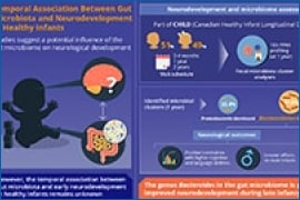 research-infographic